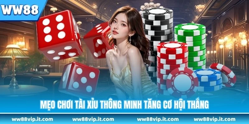 Mẹo chơi tài xỉu thông minh tăng cơ hội thắng